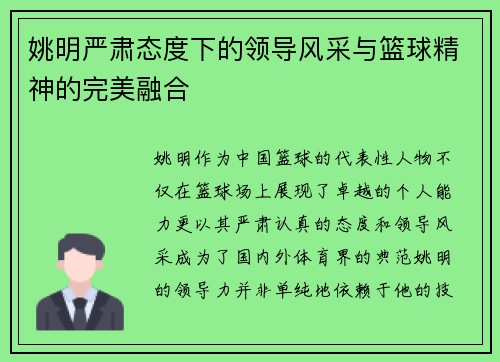 姚明严肃态度下的领导风采与篮球精神的完美融合