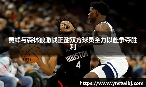 黄蜂与森林狼激战正酣双方球员全力以赴争夺胜利